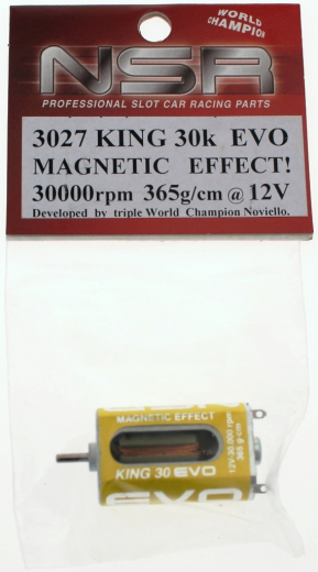 NSR Zubeh�r 803027 King 30000 EVO Magnetic 365g-cm