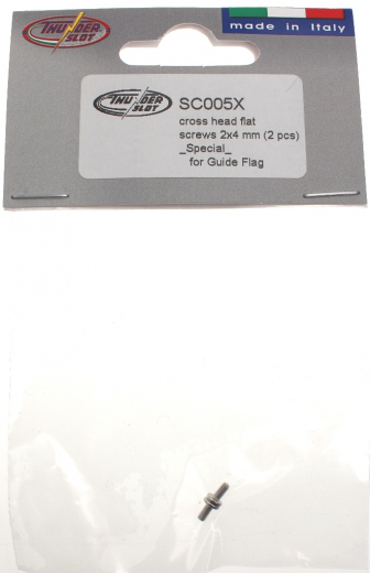 Thunderslot Ersatzteile + Zubeh�r SC005X Kreuzschlitzschrauben Flachkopf M2 x 4mm f�r Leitkiel (2 ST�ck)