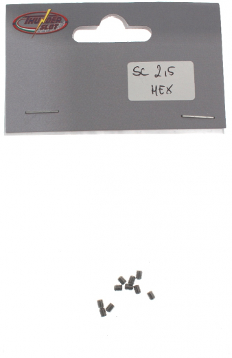 Thunderslot Ersatzteile + Zubeh�r SC2.5HEX Innensechskantschrauben M2,5 x 3mm f�r Vorderachse (10 St�ck)
